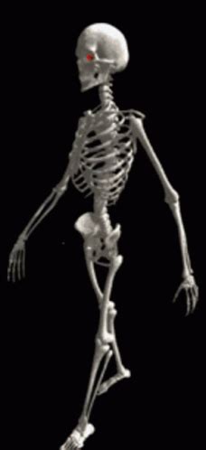 Image result for Daggerfall Skeleton GIF