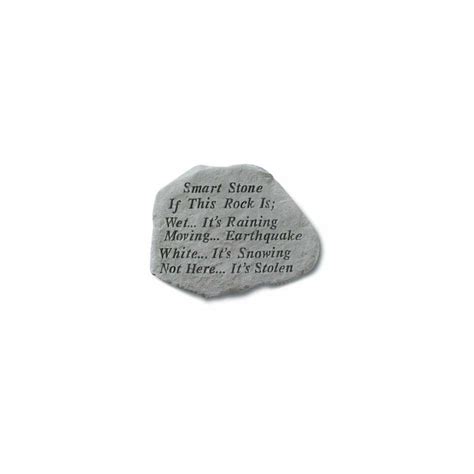 Kay Berry Kay Berry- Inc. 68220 Smart Stone If This Rock Is Wet Its ...