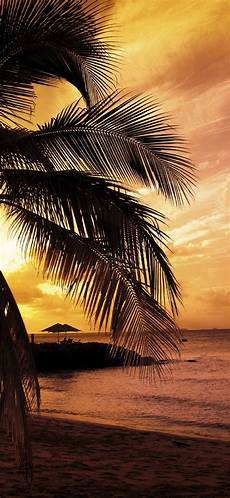 Wallpaper Pictures by Sunset At The Bay 1080x2340 Wallpaper Pictures