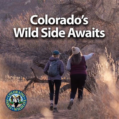 $14 Centennial State Park Pass offers Colorado underserved communities ...