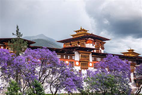 Nepal & Bhutan Cultural Tours: A Journey Through the Himalayan Kingdoms - Mission Nepal Holidays