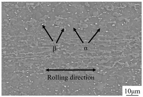 Effect of Swing Amplitude on Microstructure and Properties of TC4 ...