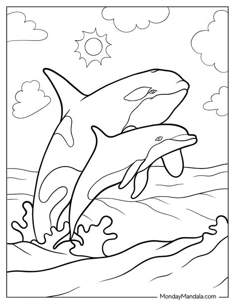 27 Killer Whale Coloring Pages (Free PDF Printables)