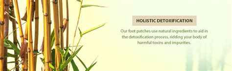 Buy Murti Export Tox Free Premium Organic Health Foot Patch Remove,Pain ...