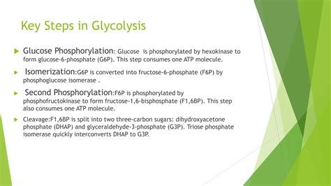 Glycolysis , Steps of glycolysis , Rate limiting steps of glycolysis | PPTX