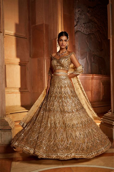 Champagne Gold Tulle Lehenga Choli Dupatta Set with Worked Belt ...
