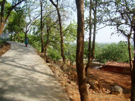 Parasnath Hills (Giridih) - 2020 What to Know Before You Go (with ...
