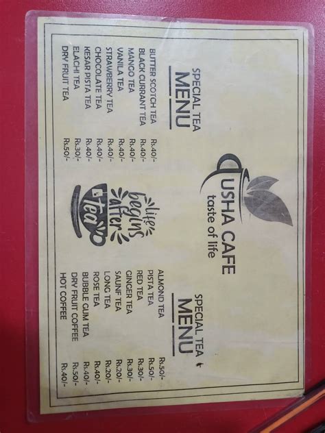 Menu at Usha coffee shop, Ferozepur