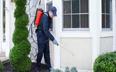Pest Control in Titwala | Pest Control services | Pest Control in ...