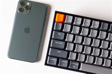 Contact Us : ABOUT US : Midlands Humane Society