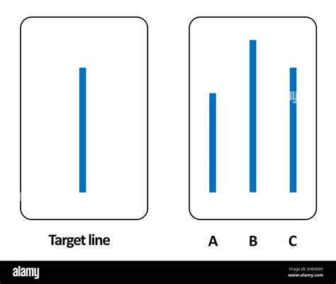 Conformity Experiment 的图像结果