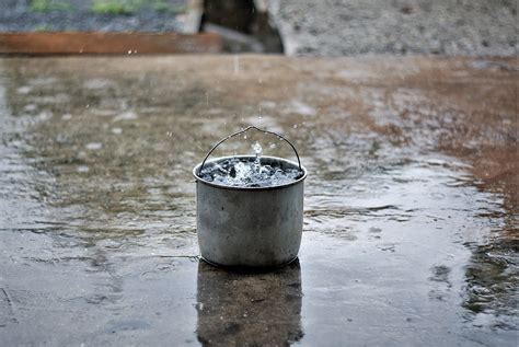 'Forever Chemicals' Make Global Rainwater Unsafe to Drink