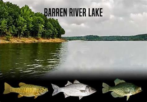 Barren River Lake, KY Fishing Report