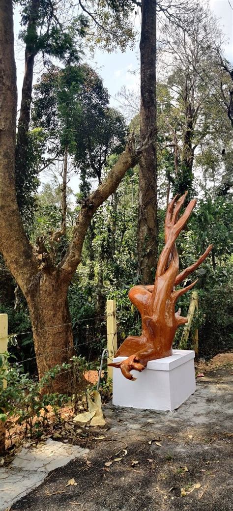 TWISTED TREE COTTAGES (Kallubane) - B&B Reviews & Photos - Tripadvisor