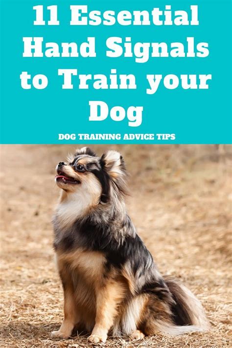 Image result for Common Hand Signals for Dogs Sheet