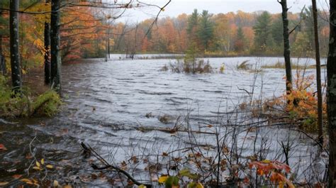 After the winds have passed through the fourth image shows the same ...