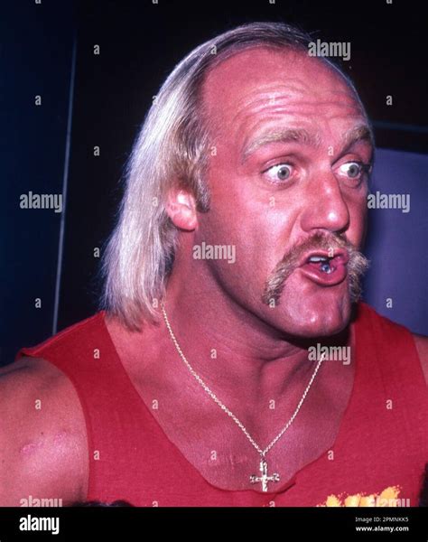 Hulk Hogan Full Head Of Hair