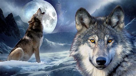 The Lone Wolf Howling at Moon Wallpapers - Top Free The Lone Wolf ...