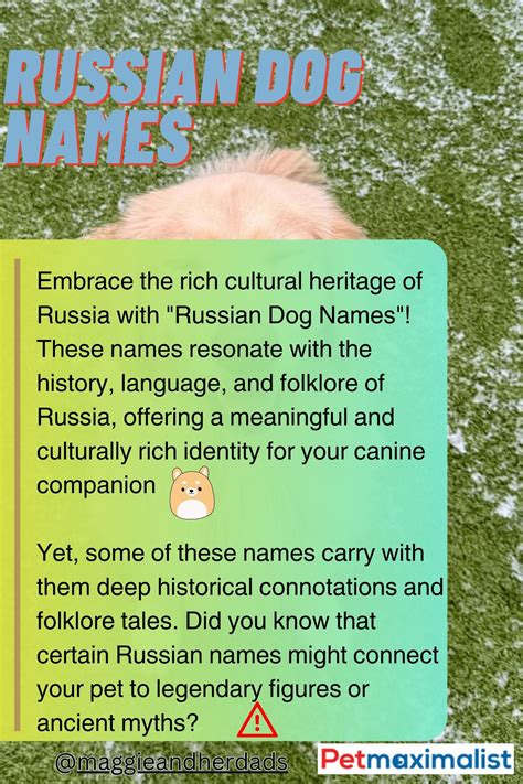 200+ Russian Dog Names for Your Pawsome Fur Babies | PetMaximalist