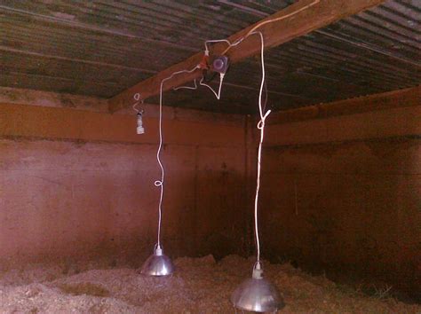 Image result for Turkey Brooder