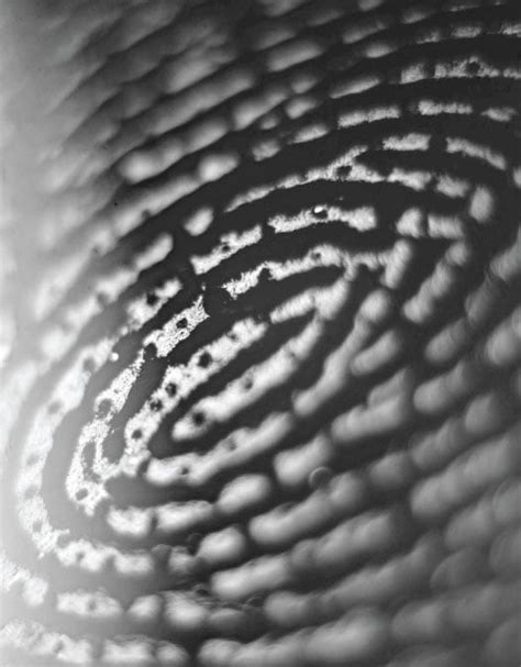 Contact Center Scripts 的图像结果