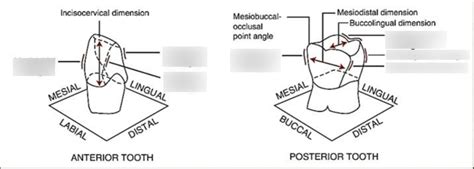 Line Angle Teeth 的图像结果