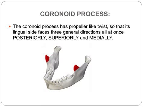 Development of mandible | PPTX