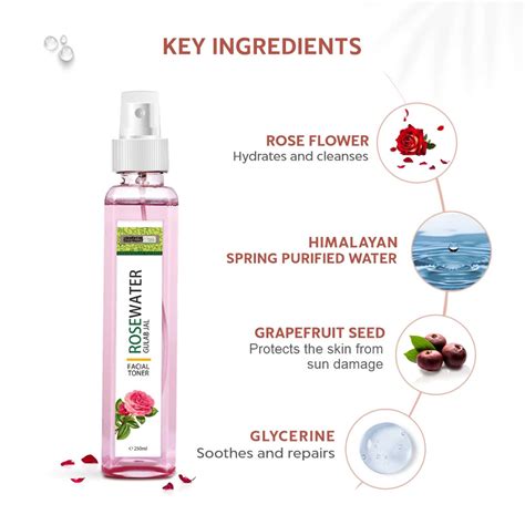Buy INDUS VALLEY ORGANIC AYURVEDA FACIAL TONER FRESH ROSE WATER FOR ...
