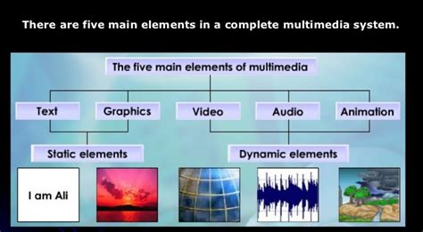 Image result for Multimedia Developer