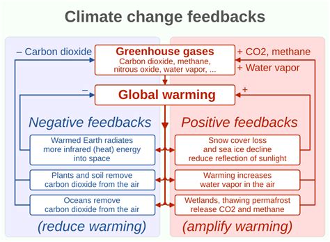 Image result for Negative Feedback Ecosystem