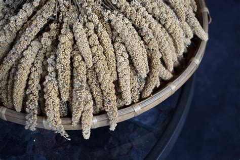 10 Best Substitutes For Quinoa