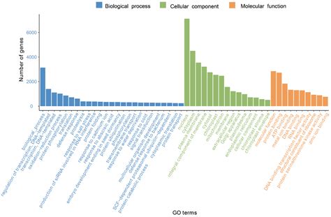 A Comparative Transcriptomic with UPLC-Q-Exactive MS Reveals ...