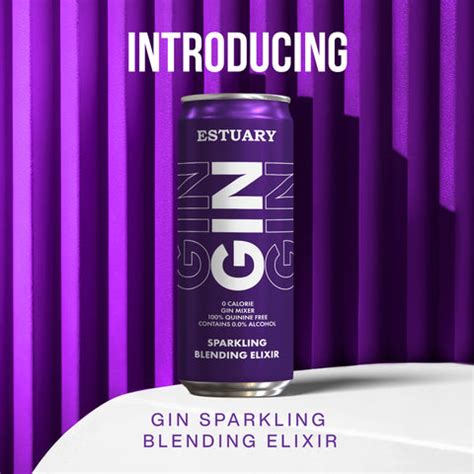 Gin Sparkling Blending Elixir for a Refreshing Experience - Estuary World