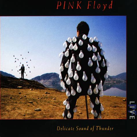 Pink Floyd Delicate Sound Of Thunder Dvd