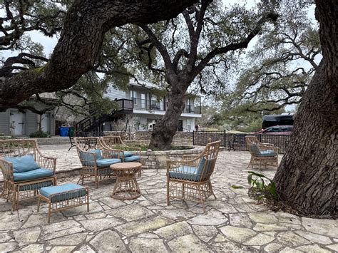 Salvia divinorum (Salvia): Uses, Effects, Legal Status & Treatment