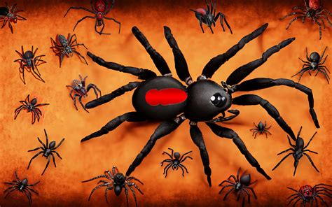 17 Deadliest Spiders And Their Venom Effects