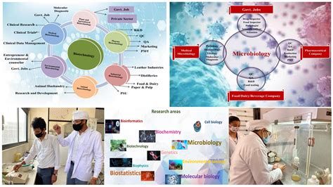 Department of Biotechnology, IPS Academy, Indore