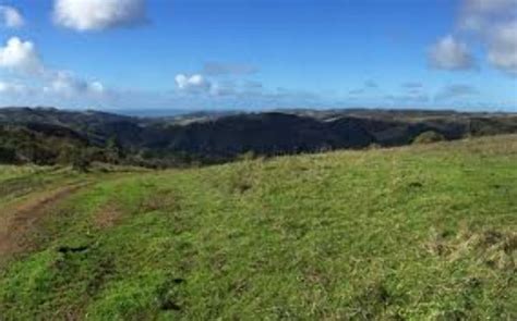 The Santa Cruz Mountains 2021, #30 top things to do in san jose ...