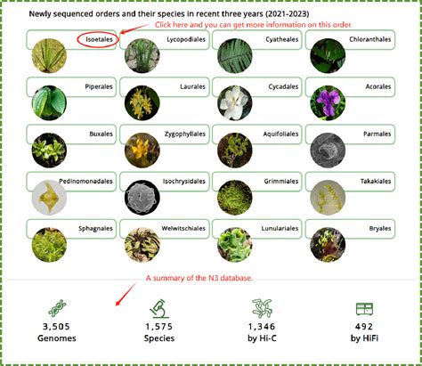 Image result for Statistica Tutorial
