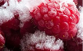 Image result for Frost Free Freezer Problems