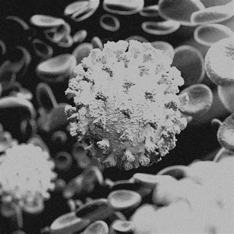 4k-Bild, Virus. Mikroskopischer Blick auf Viren. Zellen, schwarz und weiß 16533292 Stock-Photo ...