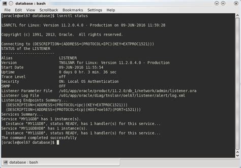 Image result for Run SQL Command Line Oracle 11G