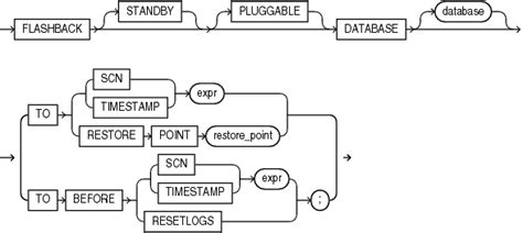 Check When Database Was Flash Back 的图像结果