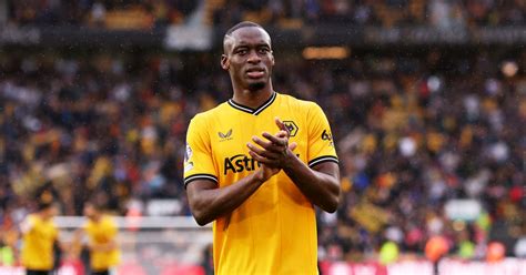 Image result for Wolves Come Back