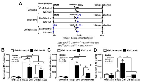 The Regulatory Roles of Ezh2 in Response to Lipopolysaccharide (LPS) in ...