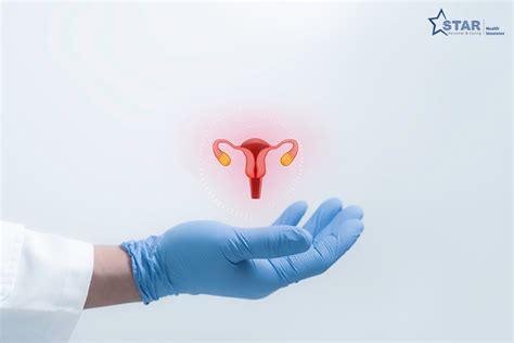 What is the Cost of the Cervical Cancer Vaccine?