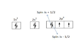 spin winner telegram number,and community engagement