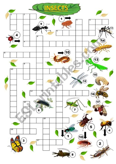 Insects crossword - ESL worksheet by Harriezt
