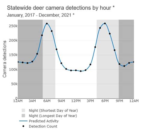 The Two Best Times to See Deer, Every Day of the Year | National Deer ...