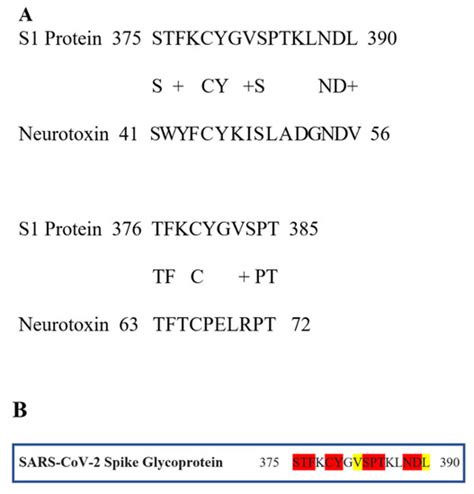 Nicotinic Cholinergic System and COVID-19: In Silico Identification of ...